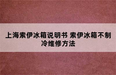 上海索伊冰箱说明书 索伊冰箱不制冷维修方法